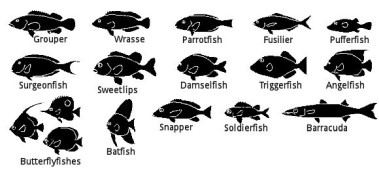 Fish Families